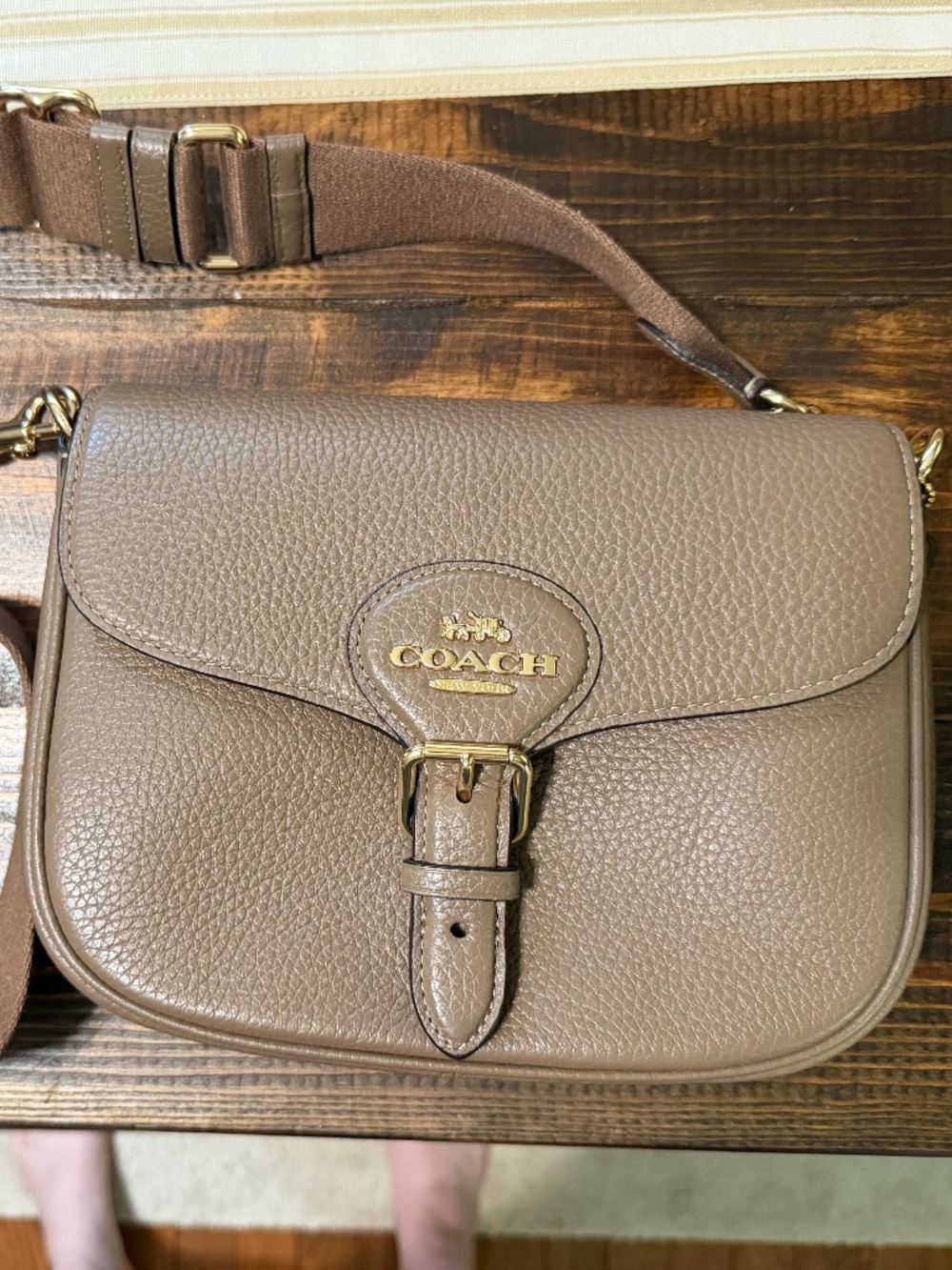 Coach Amelia Saddle Bag in Dark Stone